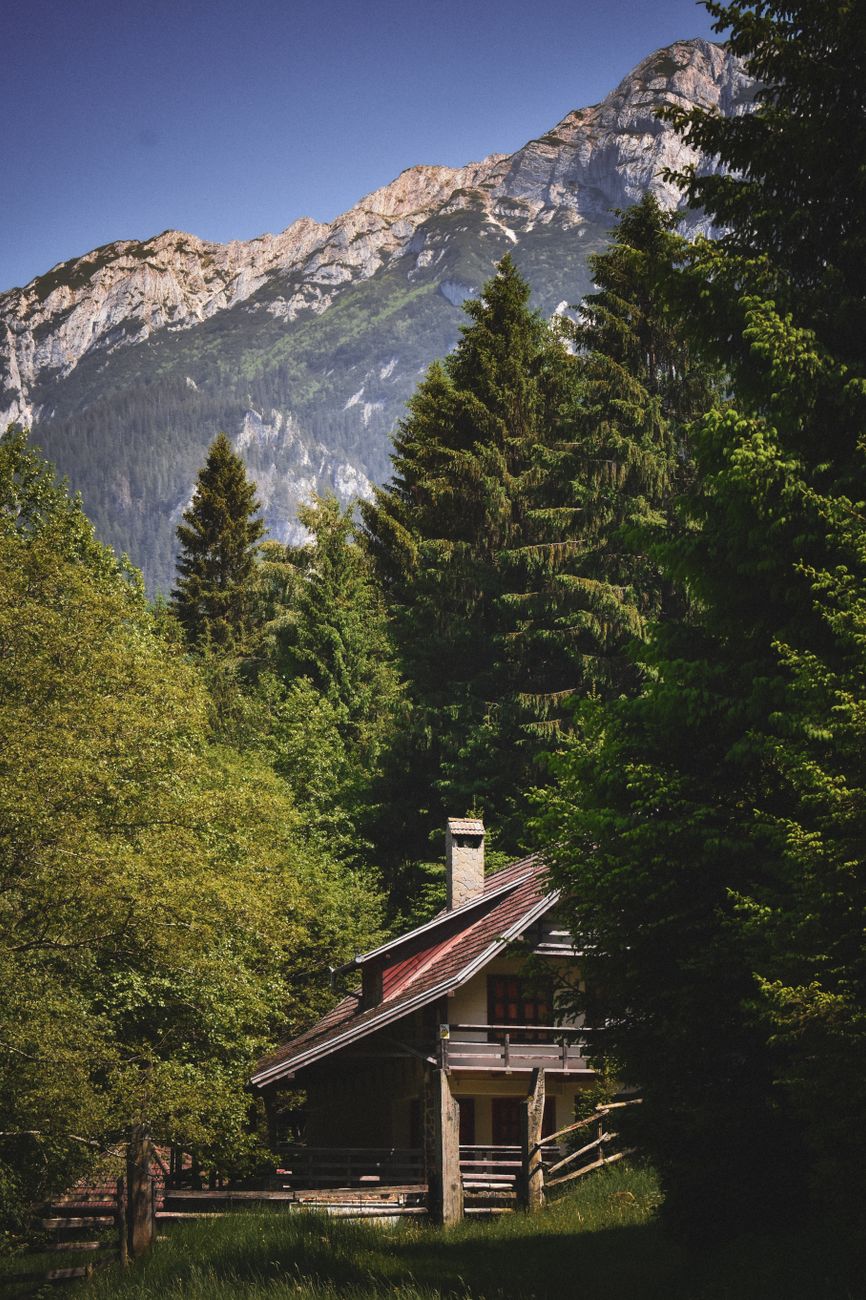 Cabin In The Woods